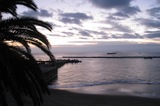 IMG_9739.JPG